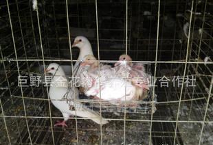 全部產(chǎn)品