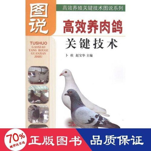 高效養殖關鍵技術圖說系列 圖說高效養肉鴿關鍵技術