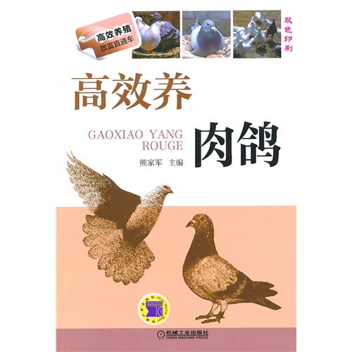 高效養肉鴿 高效養殖致富直通車 ,9787111460268