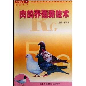 肉鴿養(yǎng)殖新技術